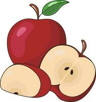 Red Delicious Organic Apple Sticker Illustration Graphic Element Art Card vector