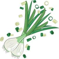 Chopped Green Onion Element Chives Slices Illustration Graphic Element Art Card vector