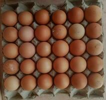 staple food - photography of a bunch of eggs on the egg tray photo