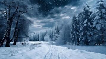 fir background snow snowflake sky holiday tree new white christmas year winter. . photo