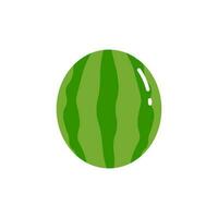 Watermelon fruit with flat design style vector