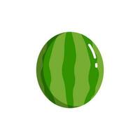 Watermelon fruit with flat design style vector