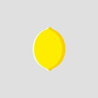 Lemon icon with flat design style vector
