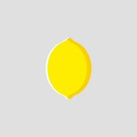 Lemon icon with flat design style vector