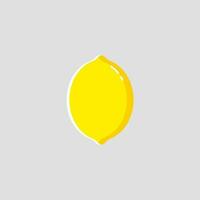 Lemon icon with flat design style vector
