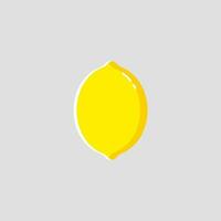 Lemon icon with flat design style vector
