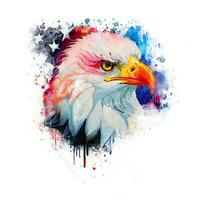 Photo Eagle Design with American Flag