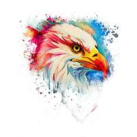 Photo Eagle Design with American Flag