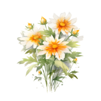 Watercolor floral bouquet illustration, wedelia flower. png