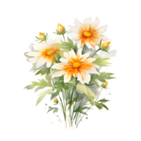 vattenfärg blommig bukett illustration, wedelia blomma. ai genererad png