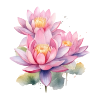 Watercolor floral bouquet illustration, lotus flower. png