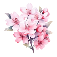 Aquarell Blumen- Strauß Illustration, Sakura Blumen. ai generiert png