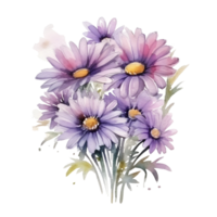 acquerello floreale mazzo illustrazione, margherita fiori. ai generato png