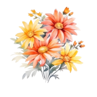 Watercolor floral bouquet illustration, daisy flowers. png