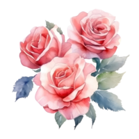 Watercolor floral bouquet illustration, rose flower png