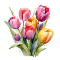 Watercolor floral bouquet illustration, tulip flower png