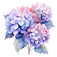 vattenfärg blommig bukett illustration, hortensia blommor. ai genererad png