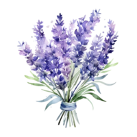 vattenfärg blommig bukett illustration, lavendel- blomma png