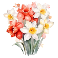 Aquarell Blumen- Strauß Illustration, Narzisse Blumen. ai generiert png