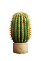 cactus in a ceramic vase. ai generated png