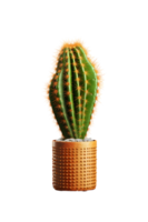 cactus in a ceramic vase. ai generated png