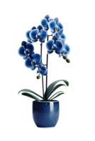 hermosa azul orquídea flor en cerámico maceta. ai generado png