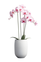 hermosa rosado orquídea flor en cerámico maceta. ai generado png