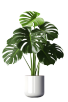 Monstera plant on ceramic pot. ai generated png