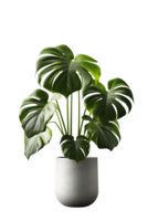 Monstera plant on ceramic pot. ai generated png