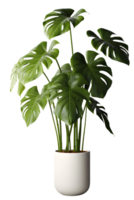 Monstera plant on ceramic pot. ai generated png