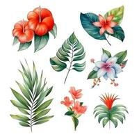 tropical flowers and leaves, summer set, large hand drawn watercolor set. ai generated photo