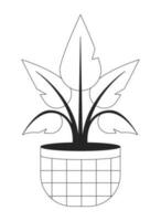 Houseplant in checkered pot flat monochrome isolated vector object. Interior house plant. Editable black and white line art drawing. Simple outline spot illustration for web graphic design
