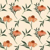 Hand drawn floral seamless pattern. Echinacea cornflower illustration vector