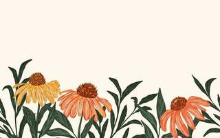 coneflower horizontal floral sin costura antecedentes vector