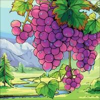 A grape is a fruit, botanically a berry, of the deciduous woody vines of the flowering plant genus Vitis. Grapes are a non-climacteric type of fruit, generally occurring in clusters. vector