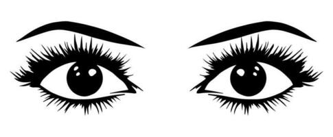pair of eyes with eyebrows eyelashes vector graphic resources