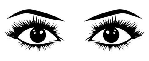 pair of eyes with eyebrows eyelashes vector graphic resources