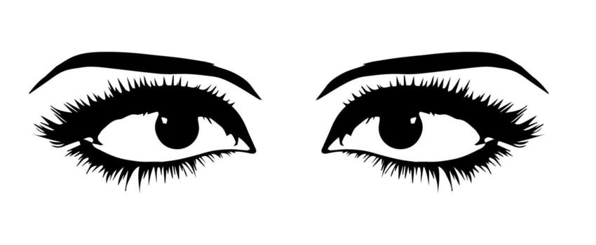 pair of eyes with eyebrows eyelashes vector graphic resources
