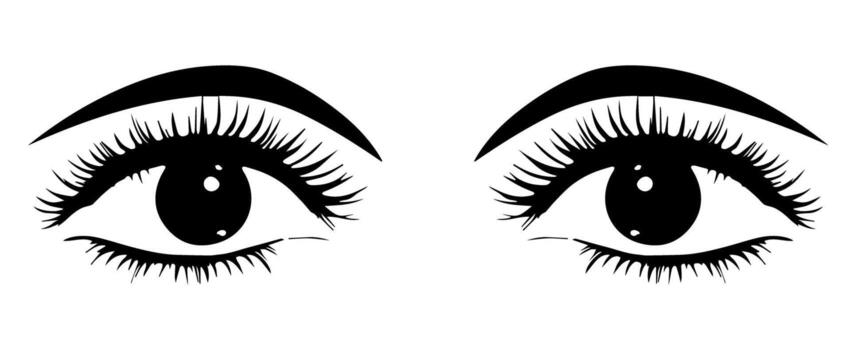 pair of eyes with eyebrows eyelashes vector graphic resources