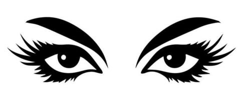 pair of eyes with eyebrows eyelashes vector graphic resources