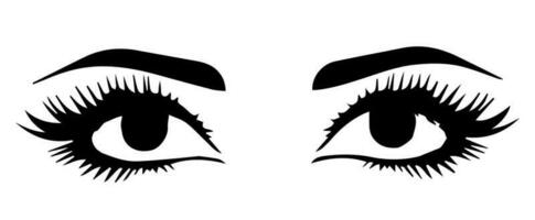 pair of eyes with eyebrows eyelashes vector graphic resources