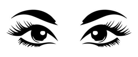pair of eyes with eyebrows eyelashes vector graphic resources