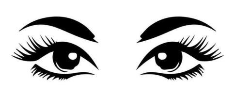 pair of eyes with eyebrows eyelashes vector graphic resources