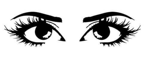 pair of eyes with eyebrows eyelashes vector graphic resources