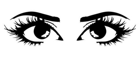 pair of eyes with eyebrows eyelashes vector graphic resources