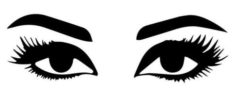 pair of eyes with eyebrows eyelashes vector graphic resources