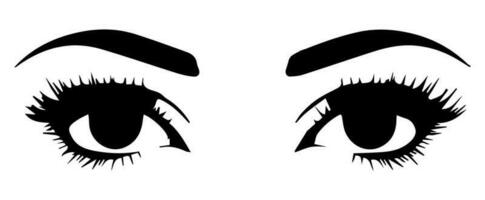 pair of eyes with eyebrows eyelashes vector graphic resources