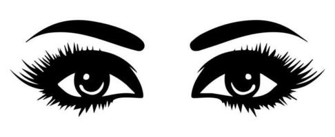 pair of eyes with eyebrows eyelashes vector graphic resources