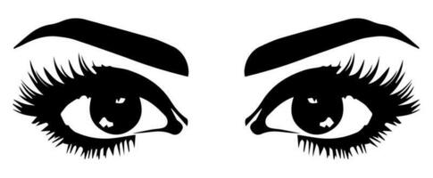 pair of eyes with eyebrows eyelashes vector graphic resources