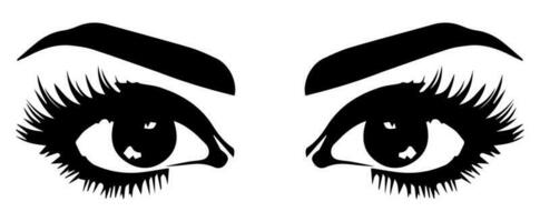 pair of eyes with eyebrows eyelashes vector graphic resources